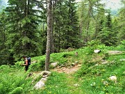 93 Dal Sentiero delle foppe agganciamo a dx il Sentiero estivo CAI 247 per rientrare a Pagliari